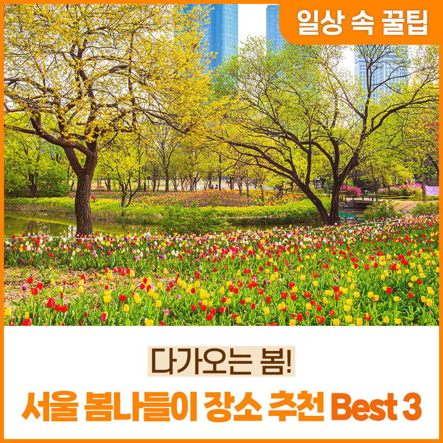 다가오는 봄! 서울 봄나들이 장소 추천 Best3