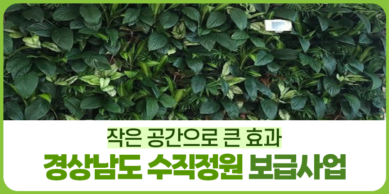 작은 공간, 큰 효과! 수직정원과 함께하는 일자리 지원사업