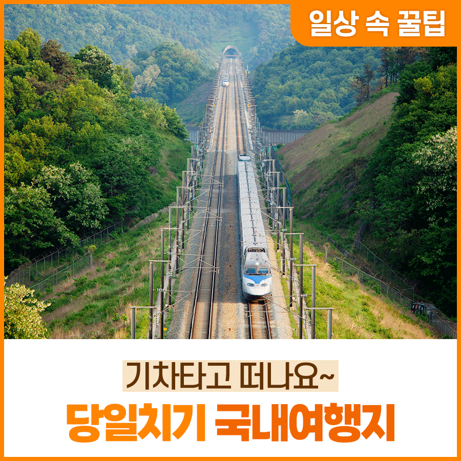 기차타고 떠나요 당일치기 국내여행지 소개