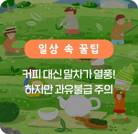 커피 대신 말차가 열풍! 하지만 과유불급 주의