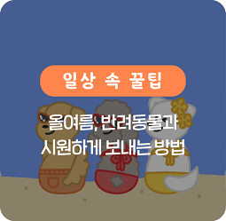 올여름 반려동물과 시원하게 보내는 방법