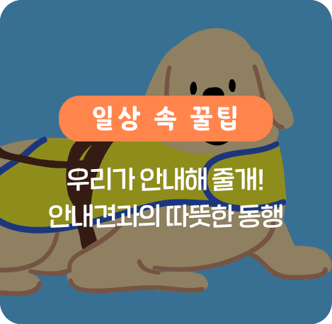 우리가 안내해 줄개! 안내견과의 따뜻한 동행