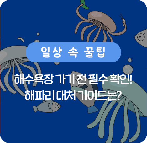 해수욕장 가기전 필수 확인! 해파리 대처 가이드는?
